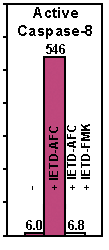 Caspase-8 (human), (recombinant) (active) image