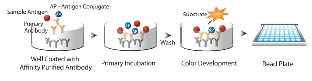 Competitive ELISA test kit
