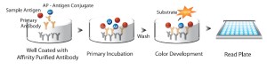 Competitive ELISA test kit
