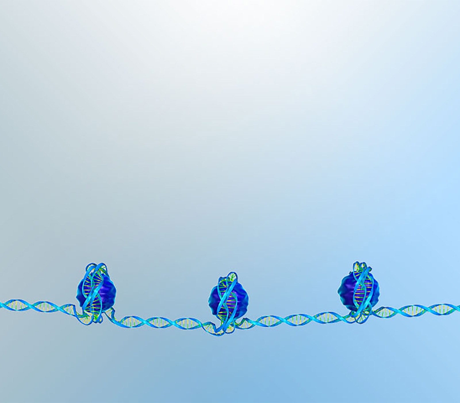 Mistone Modification Gif How Do Histone Modifications Regulate Gene Expression? - Enzo