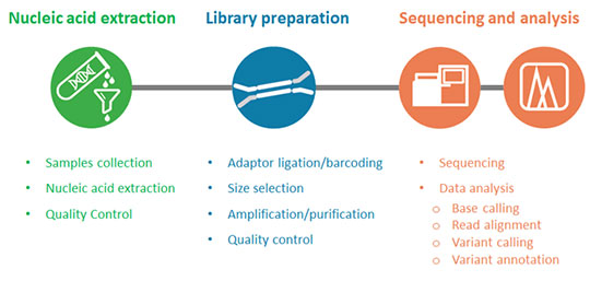 NGS Workflow and Fundamentals of Sample Preparation - Enzo