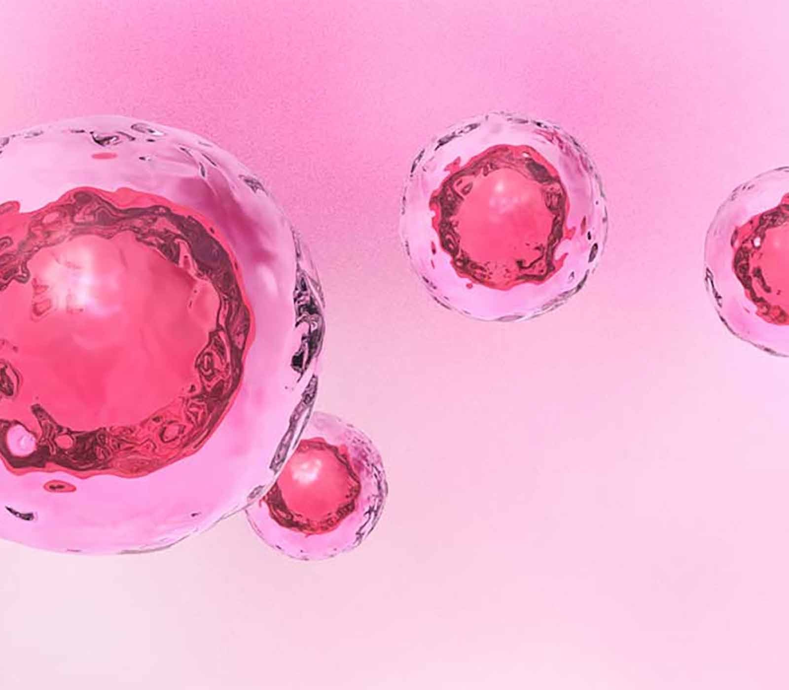 Stem Cells: from Embryonic Origin to Induced Pluripotency – An Overview ...