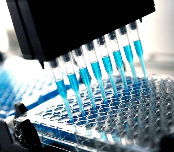 How are cell-based assays useful in drug discovery research? - Enzo