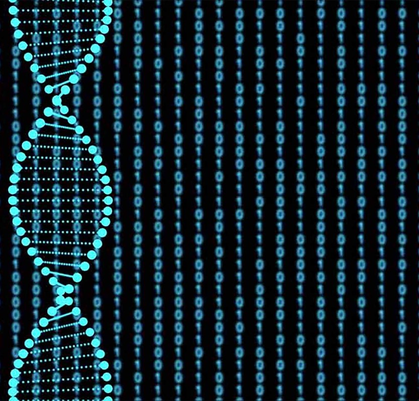 DNA and RNA Probes