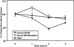 so serum glucose levels decrease until counter-regulatory mechanisms (i.e. glucagon) become effective. rhACRP30headless demonstrated no significant bioactivity in terms of reduction of serum glucose compared to wildtype in this in vivo assay."""""