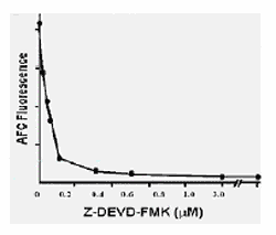 Z-DEVD-FMK (Ready-to-Use) image