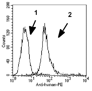 BCMA (human):Fc (human), (recombinant) Flow Cytometry
