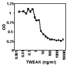 TWEAK (soluble) (human), (recombinant) image