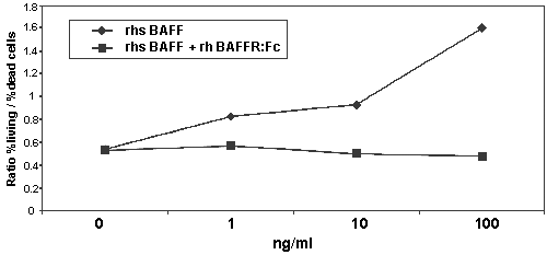 BAFF-R (human):Fc (human), (recombinant) Flow Cytometry