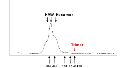 Adiponectin (human), (recombinant) image