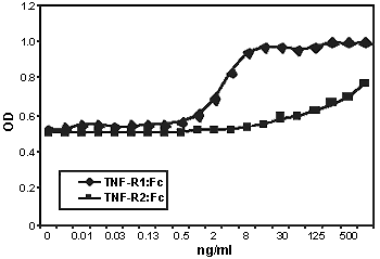 TNF-R1 (human):Fc (human), (recombinant) image