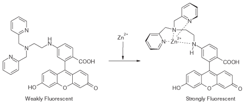 ZnAF-2 . tetrahydrochloride image