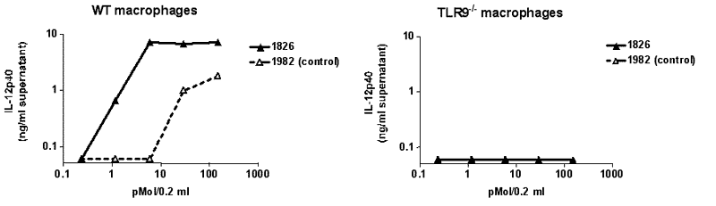 ODN 1982 (TLRGRADE) (synthetic) (Control) image