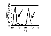 BAFF (human) monoclonal antibody (Buffy-1) Flow Cytometry