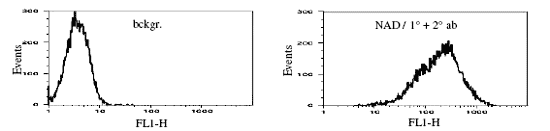 Poly(ADP-ribose) monoclonal antibody (10H) Flow Cytometry