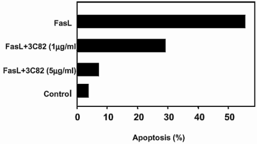 FasL monoclonal antibody (3C82) image