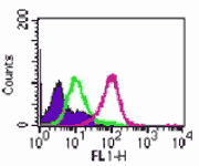 and F) malignant lung tissues using MAb to Toll-like Receptor 9 (human) (26C593.2) (Prod. No. ALX-804-364) at 1:100 dilution