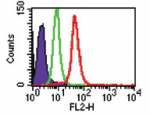 IL-17E monoclonal antibody (68C1039.2) Western blot