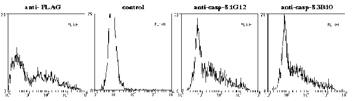 Caspase-8 (mouse) monoclonal antibody (3B10) Flow Cytometry