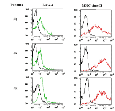 LAG-3 (human) monoclonal antibody (17B4) (FITC conjugate) Flow Cytometry
