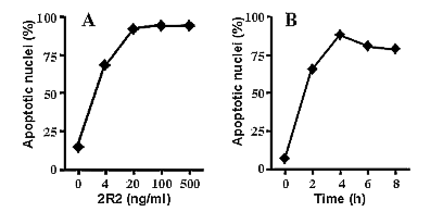 Fas (human) monoclonal antibody (2R2) Flow Cytometry