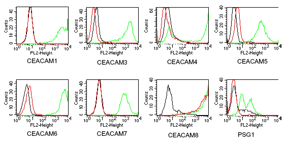 CEACAM8 (human) monoclonal antibody (GM2H6) Flow Cytometry