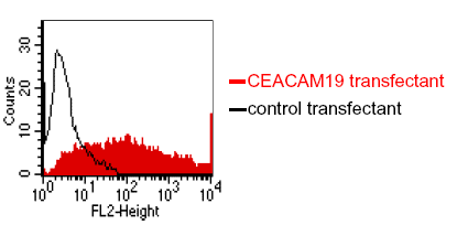 CEACAM19 (human) monoclonal antibody (HY-8H10) Flow Cytometry