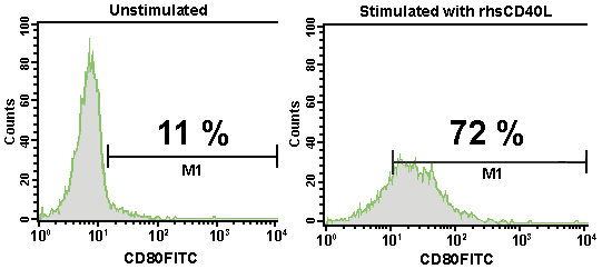 CD40L, soluble (human) (recombinant) set Flow Cytometry