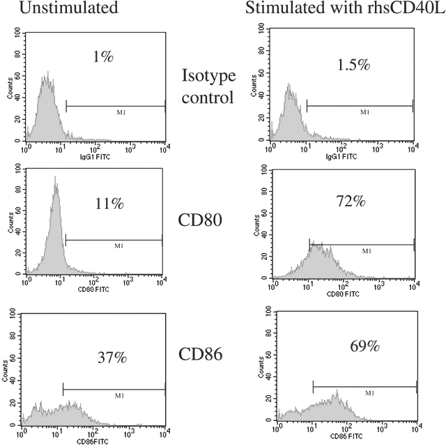 CD40L, soluble (human) (recombinant) set Flow Cytometry