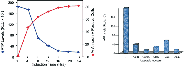 ApoSENSOR™ Cell viability assay kit image