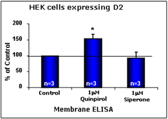 Dopamine receptor D2 polyclonal antibody Cellular ELISA