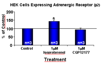 Adrenergic receptor β2 polyclonal antibody Cellular ELISA