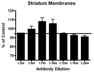 Dopamine receptor D1 polyclonal antibody Membrane ELISA