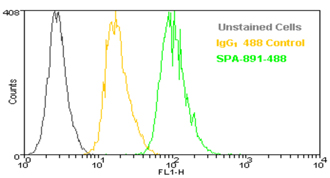 Fixation/Permeabilization, (buffer) Flow Cytometry