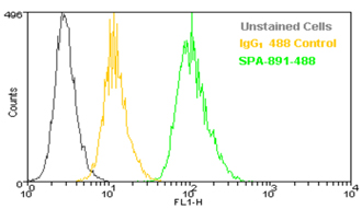 Fixation, (buffer) Flow Cytometry