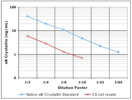 IMMUNOSET® αB-Crystallin ELISA development set image