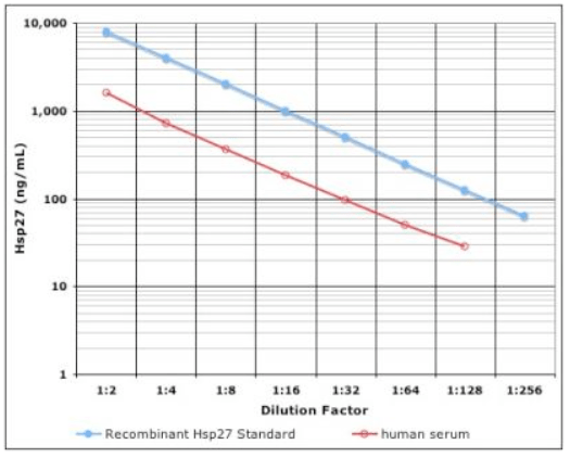 IMMUNOSET® HSP27 high sensitivity (human), ELISA development set image