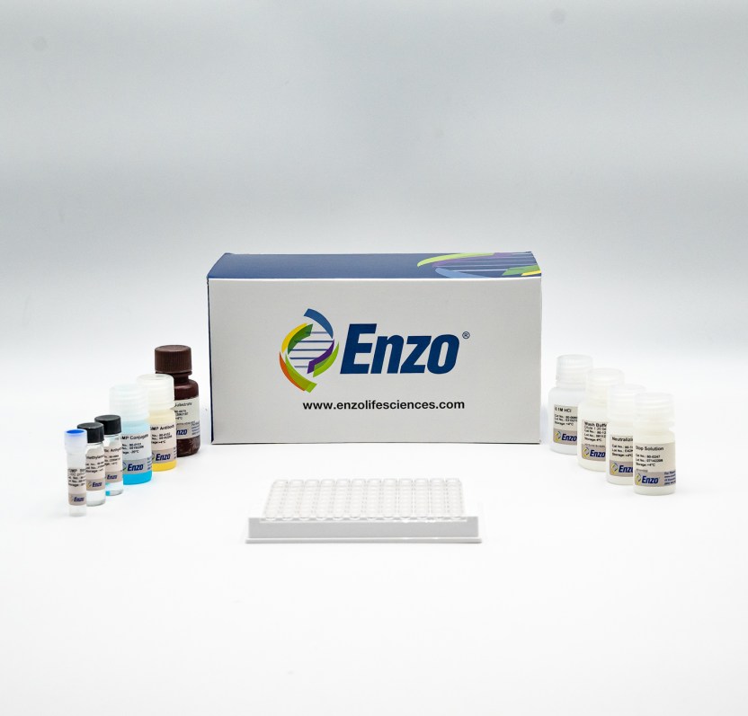 Direct cGMP ELISA kit Enzo