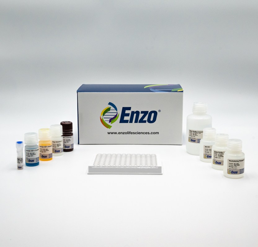 IGF1 (human), ELISA kit Enzo