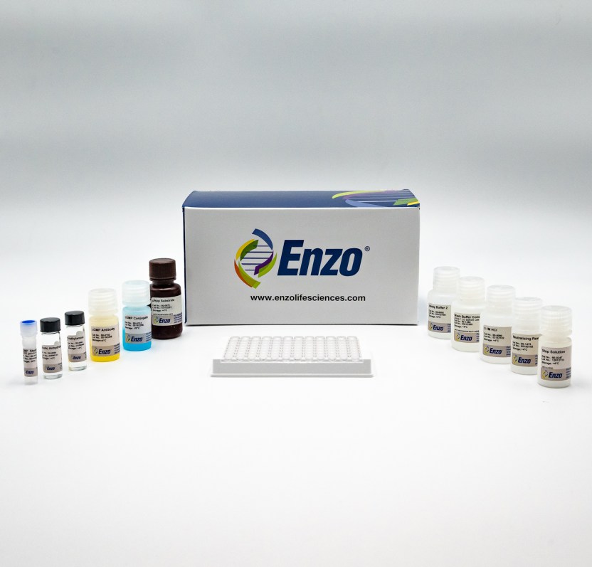 cGMP complete ELISA kit Enzo
