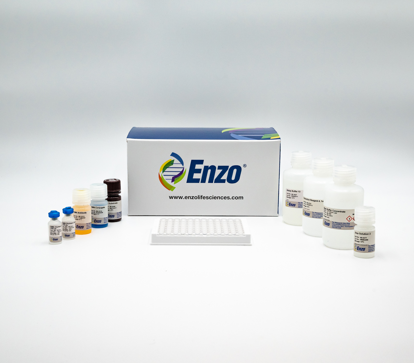 SMN ELISA kit Enzo