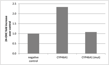 12 and 24 hours post-treatment and lysed in RIPA cell lysis buffer 2 containing protease inhibitors and DNase. Cell lysates were clarified by centrifugation and analyzed in p62 assay (Figure 3A) and NBR1 assay (Figure 3B). Concentration of antigen was normalized to total cellular protein. Cell lysates were resolved by SDS-PAGE and analyzed by Western blot using anti-p62 antibody from Cell Signaling