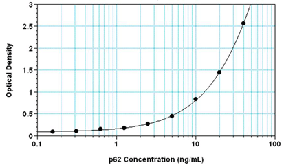p62 ELISA kit Standard curve