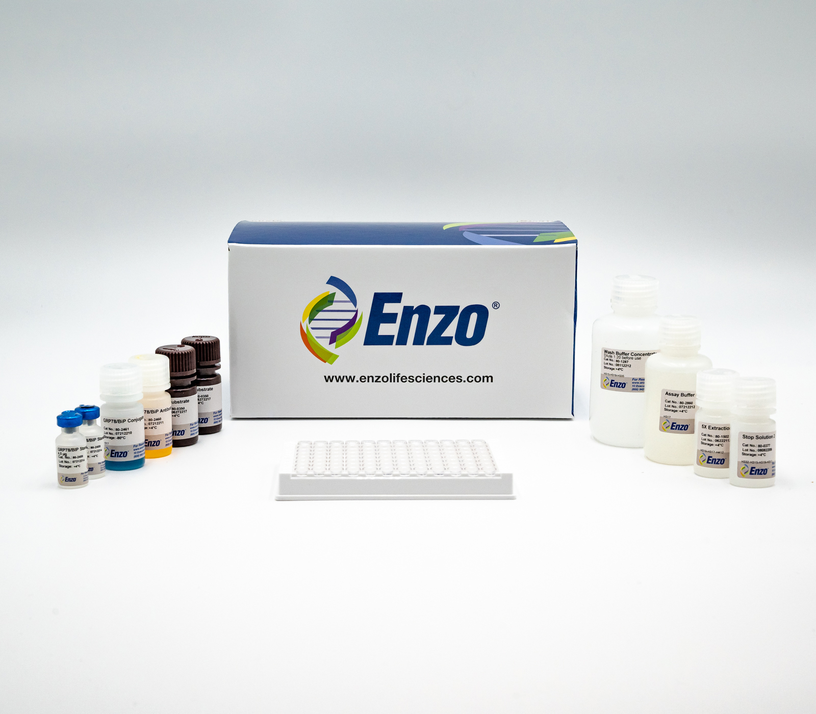 Élisaページ Grp78/BiP ELISA kit - Enzo
