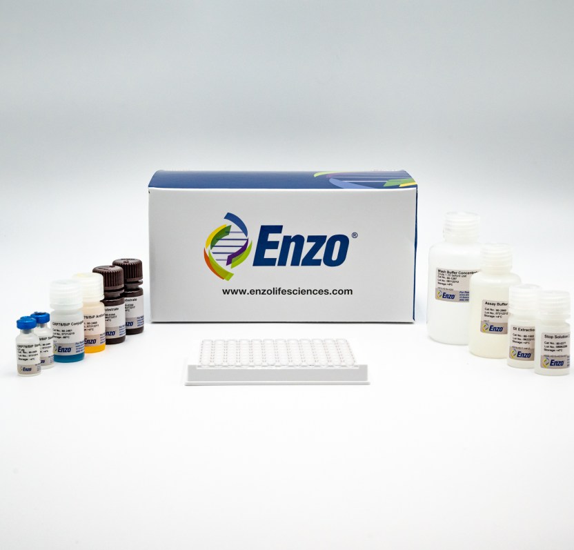 Grp78/BiP ELISA kit Enzo