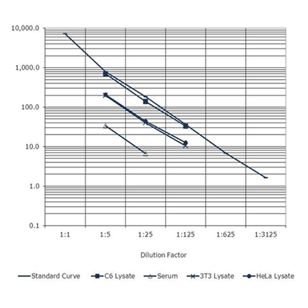Grp78/BiP ELISA kit Parallelism curve