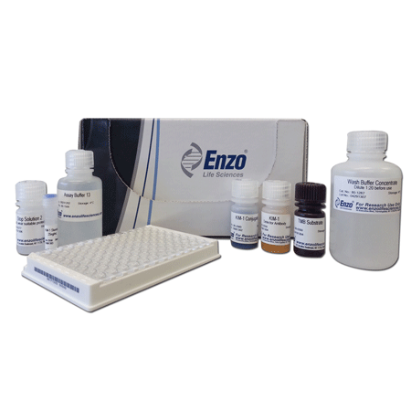 KIM-1 (human) ELISA kit Kit box image