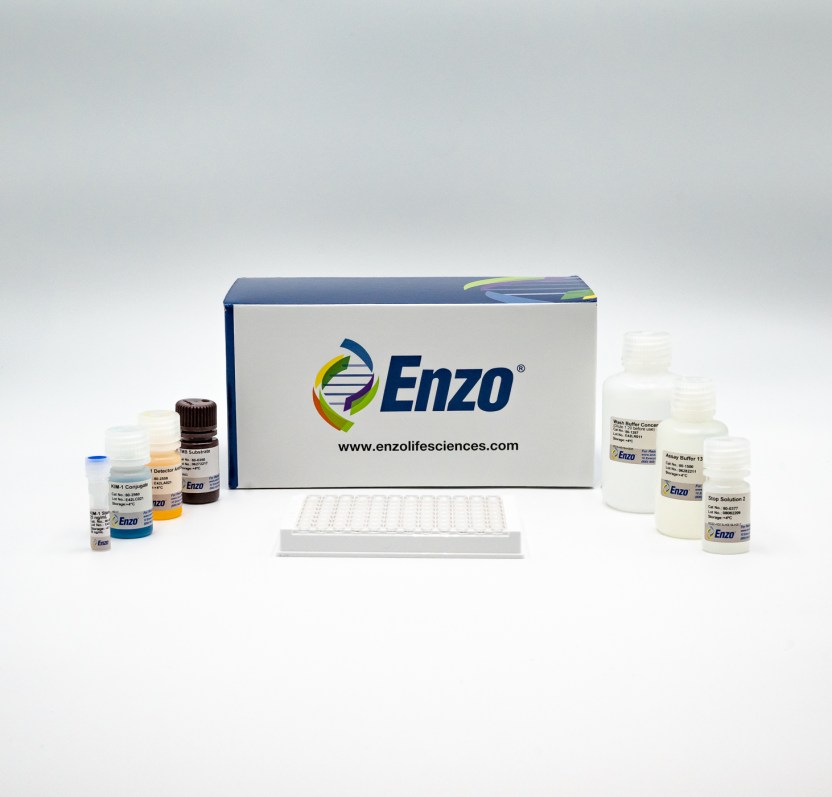 KIM1 (human) ELISA kit Enzo