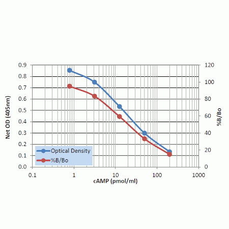 Direct cAMP ELISA kit Standard curve - Non-Acetylated