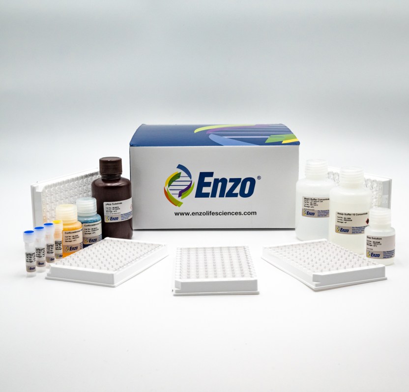 Corticosterone ELISA kit Enzo